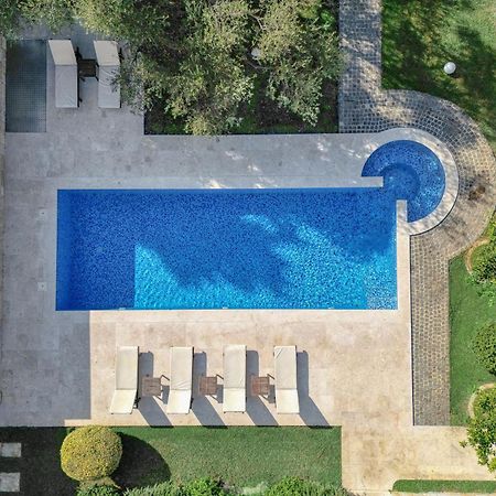 Villa Zen Port Petrovac Exteriér fotografie