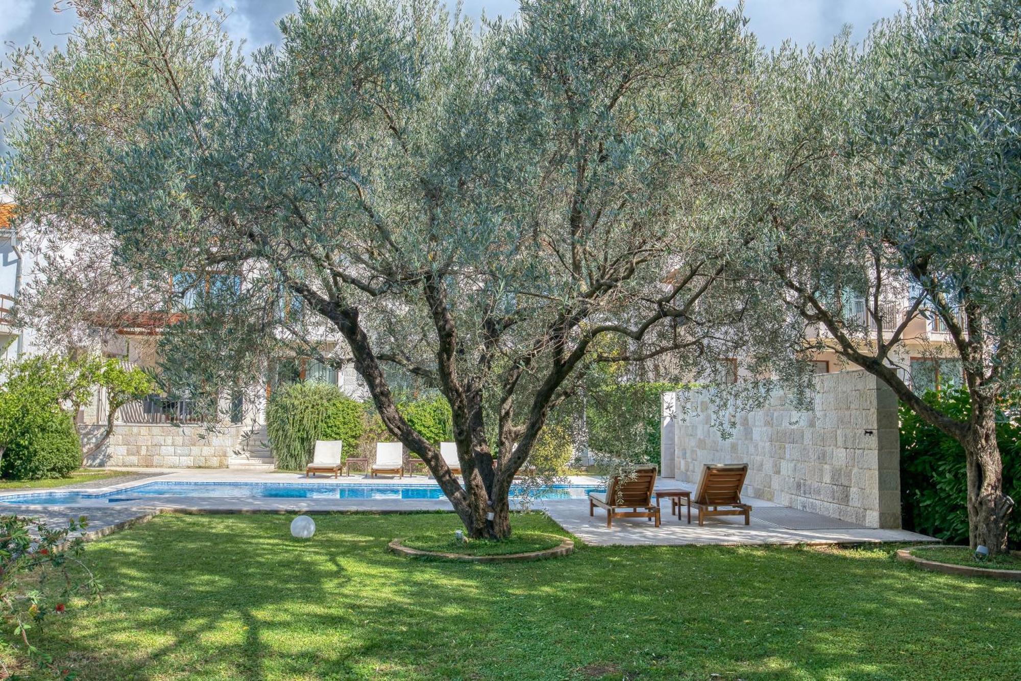Villa Zen Port Petrovac Exteriér fotografie